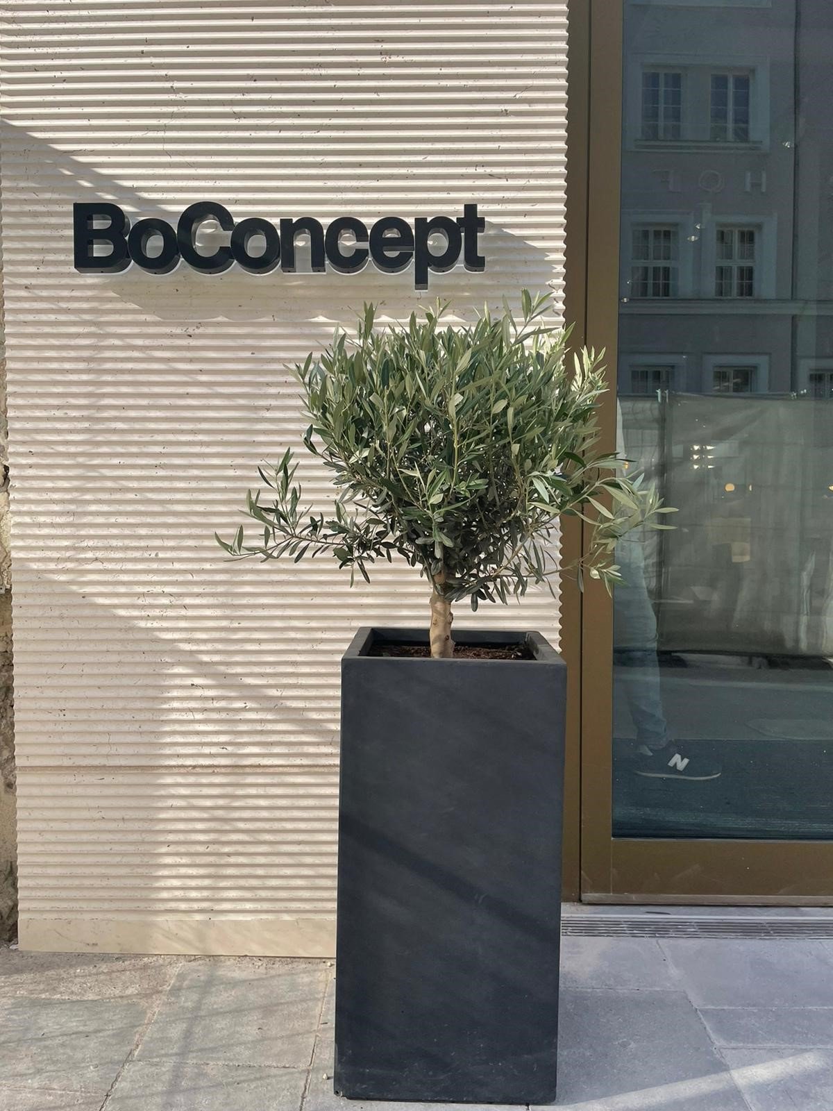 BoConcept